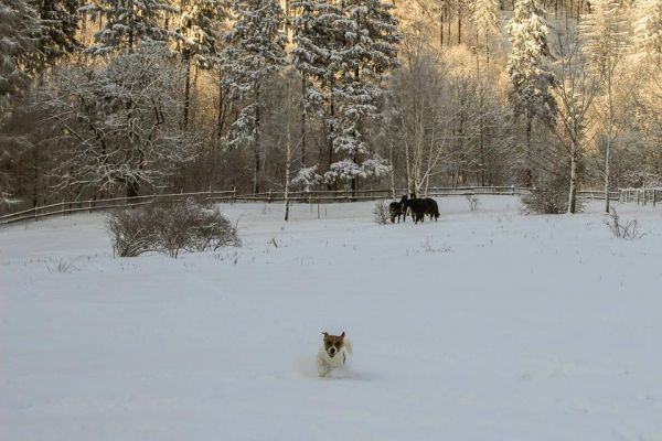 Gallery-wokol-zacisza 015